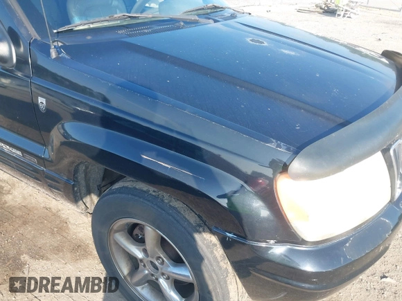2001 Jeep Grand Cherokee Limited with VIN 1J4GW58NX1C685810, listed as a IAAI auction lot 42630490 with 441,046 mi miles and . Bid and sale history available at DreamBid. Image 6.