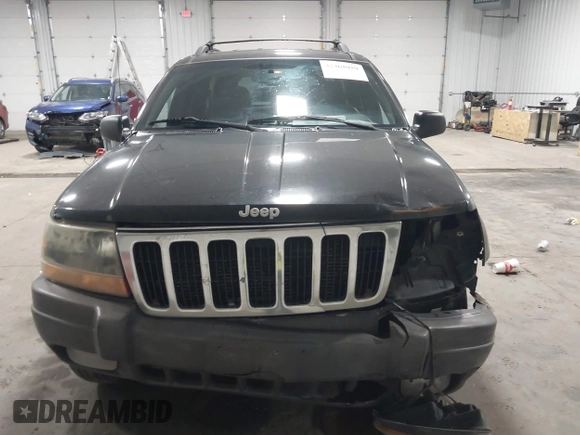 1999 Jeep Grand Cherokee Laredo with VIN 1J4GW58SXXC649579, listed as a IAAI auction lot 42365959 with 199,742 mi miles and . Bid and sale history available at DreamBid. Image 12.