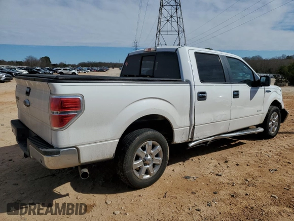 2014 Ford F-150 XL with VIN 1FTFW1CTXEFC60186, listed as a Copart auction lot 46981665 with 166,904 mi miles and Salvage Title. Bid and sale history available at carsss.com. Image 3.