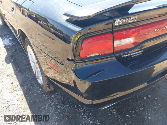 2013 Dodge Charger RT Plus with VIN 2C3CDXDT6DH567009, listed as a IAAI auction lot 40619931 with 145,015 mi miles. Bid and sale history available at carsss.com. Image 19.