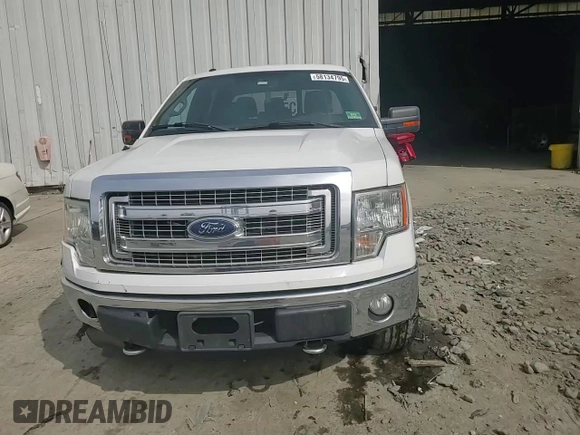 2013 Ford F-150 XL with VIN 1FTFW1EF9DKE66144, listed as a Copart auction lot 58134795 with 150,726 mi miles and Salvage title. Bid and sale history available at DreamBid. Image 13.