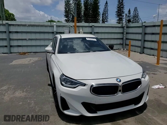 2022 BMW 2 Series 230i with VIN 3MW23CM07N8C54729, listed as a Copart auction lot 61534375 with 40,151 mi miles and Salvage title. Bid and sale history available at DreamBid. Image 13.