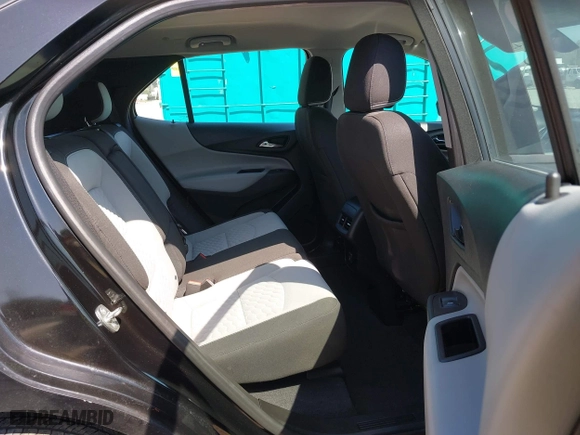 2019 Chevrolet Equinox LS with VIN 2GNAXHEV7K6212446, listed as a IAAI auction lot 42004161 with 123,863 mi miles. Bid and sale history available at carsss.com. Image 8.