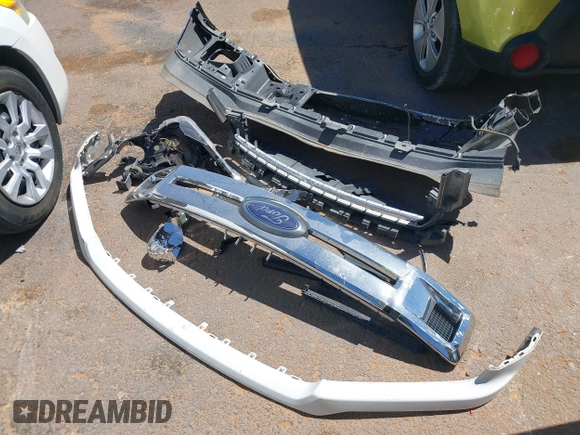 2019 Ford F-150 XL with VIN 1FTEW1C53KKC67450, listed as a IAAI auction lot 41846803 with 50,156 mi miles and . Bid and sale history available at DreamBid. Image 12.