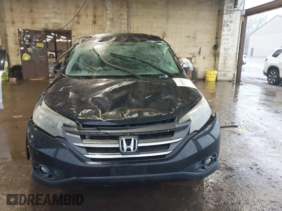2014 Honda CR-V EX with VIN 2HKRM4H59EH702122, listed as a IAAI auction lot 41040243 with 97,813 mi miles and . Bid and sale history available at DreamBid. Image 12.