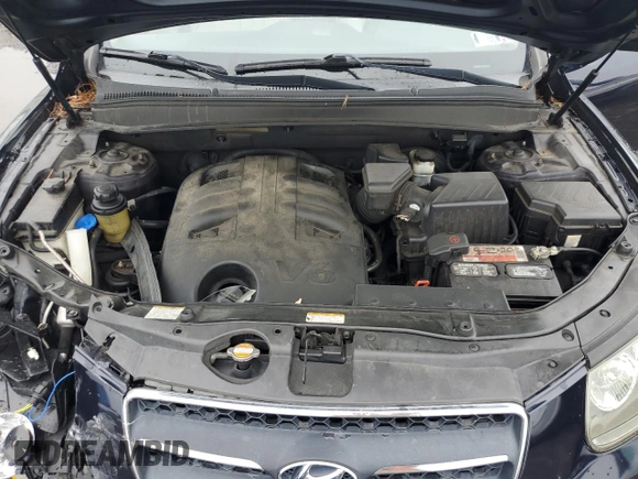 2009 Hyundai Santa Fe SE with VIN 5NMSH13E59H292644, listed as a Copart auction lot 60900555 with 205,048 mi miles and Salvage title. Bid and sale history available at DreamBid. Image 12.