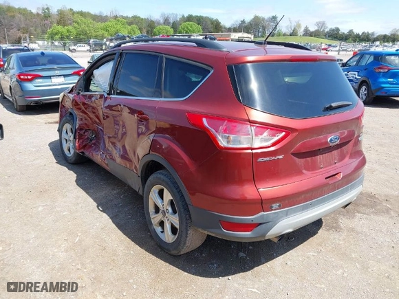 2014 Ford Escape SE with VIN 1FMCU0GX0EUB54675, listed as a IAAI auction lot 41865057 with 145,632 mi miles. Bid and sale history available at carsss.com. Image 3.