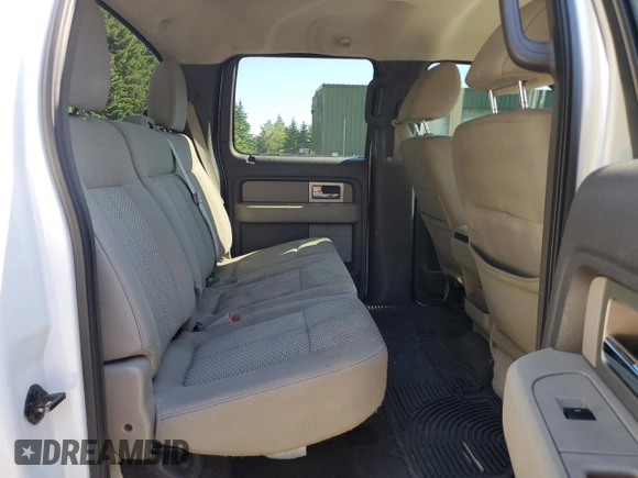 2010 Ford F-150 XL with VIN 1FTEW1E8XAFB89795, listed as a Copart auction lot 62423115 with 402,162 mi miles and Salvage title. Bid and sale history available at DreamBid. Image 10.