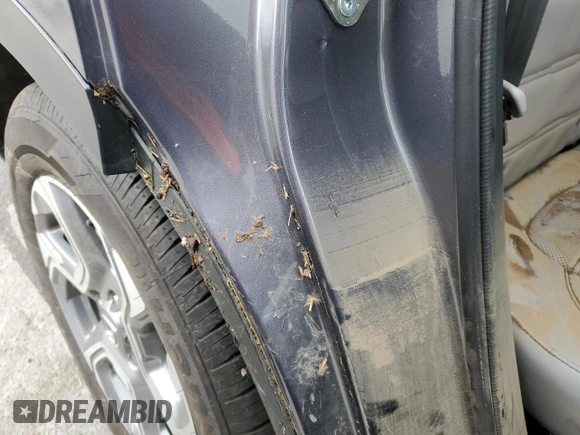 2019 Honda CR-V EX-L with VIN 2HKRW1H88KH509359, listed as a Copart auction lot 52003385 with 36,944 mi miles and Salvage Title. Bid and sale history available at carsss.com. Image 13.