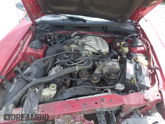 1994 Ford Mustang with VIN 1FALP4047RF117240, listed as a IAAI auction lot 42315542 with 120,825 mi miles and . Bid and sale history available at DreamBid. Image 10.