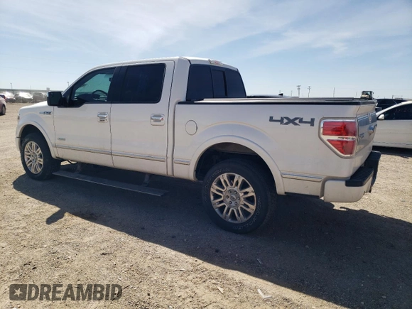 2014 Ford F-150 XL with VIN 1FTFW1ET6EFA48088, listed as a Copart auction lot 49339825 with 177,016 mi miles and Salvage Title. Bid and sale history available at carsss.com. Image 2.