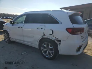 2019 Kia Sorento SX Limited with VIN 5XYPKDA51KG536785, listed as a Copart auction lot 41959205 with 71,290 mi miles and Salvage Title. Bid and sale history available at carsss.com. Image 2.