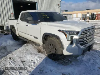 2022 Toyota Tundra 1794 Edition with VIN 5TFMA5DB8NX045547, listed as a Copart auction lot 42543985 with 39,256 mi miles and Clean title. Bid and sale history available at DreamBid. Image 4.