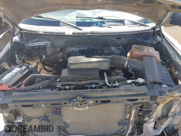 2010 Ford F-150 XL with VIN 1FTEX1CW1AKB71501, listed as a IAAI auction lot 41755273 with 146,272 mi miles and . Bid and sale history available at DreamBid. Image 10.