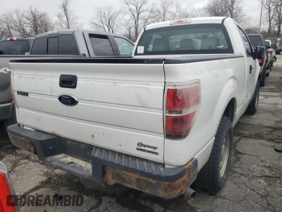 2013 Ford F-150 XL with VIN 1FTMF1CM5DFB61287, listed as a Copart auction lot 48932165 with 149,185 mi miles and Clean Title. Bid and sale history available at carsss.com. Image 6.