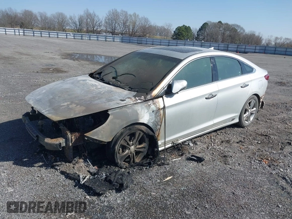2019 Hyundai Sonata SEL with VIN 5NPE34AF3KH795543, listed as a IAAI auction lot 41794340 with Not Provided miles and . Bid and sale history available at DreamBid. Image 2.