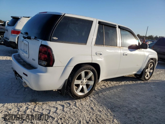 2006 Chevrolet TrailBlazer LT with VIN 1GNES13H562258185, listed as a Copart auction lot 77268824 with 0 mi miles and Salvage Title. Bid and sale history available at carsss.com. Image 3.