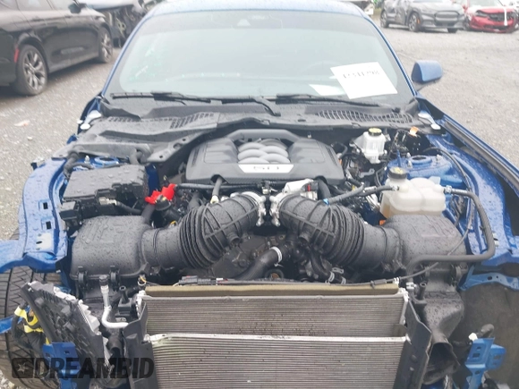 2024 Ford Mustang GT with VIN 1FA6P8CFXR5410203, listed as a IAAI auction lot 42341298 with Not provided miles and . Bid and sale history available at DreamBid. Image 10.
