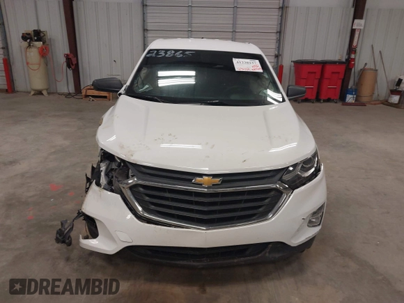 2019 Chevrolet Equinox LS with VIN 2GNAXHEV9K6196119, listed as a IAAI auction lot 41238157 with 83,412 mi miles and . Bid and sale history available at DreamBid. Image 12.