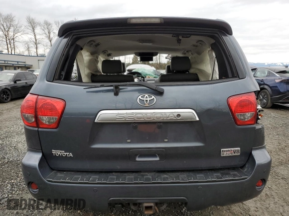 2010 Toyota Sequoia Platinum with VIN 5TDDY5G13AS024314, listed as a Copart auction lot 44349705 with 0 mi miles and Salvage Title. Bid and sale history available at carsss.com. Image 6.