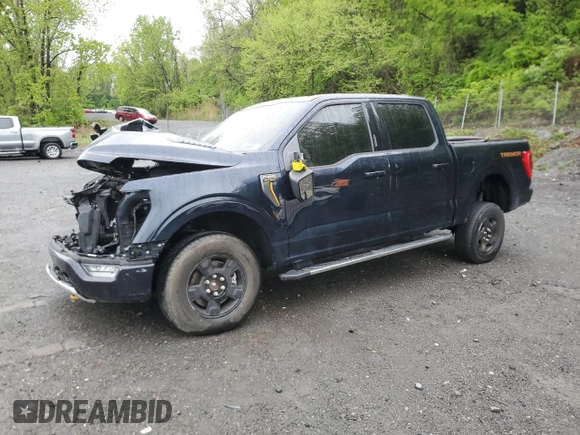 2023 Ford F-150 XL with VIN 1FTFW1E50PFA81169, listed as a Copart auction lot 55646095 with Not provided miles and Salvage title. Bid and sale history available at DreamBid. Image 1.