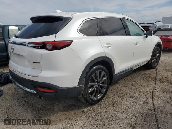 2020 Mazda CX-9 Signature with VIN JM3TCBEY1L0424622, listed as a Copart auction lot 73960174 with Not Provided miles and Non Repairable. Bid and sale history available at carsss.com. Image 3.