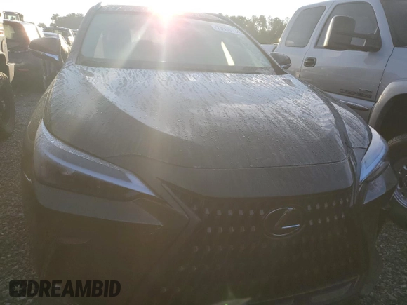 2022 Lexus NX with VIN 2T2ADCAZ4NC002446, listed as a Copart auction lot 73936134 with 11,751 mi miles and Salvage Title. Bid and sale history available at carsss.com. Image 5.