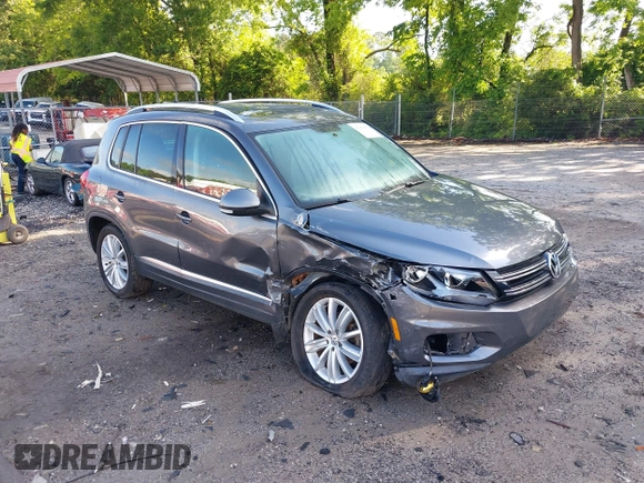 2013 Volkswagen Tiguan S with VIN WVGAV3AX7DW624136, listed as a IAAI auction lot 42256657 with 124,000 mi miles and . Bid and sale history available at DreamBid. Image 1.