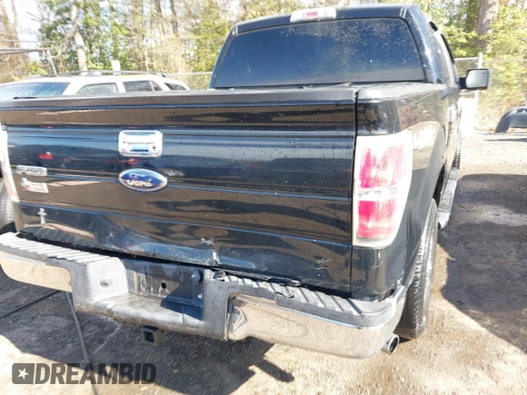 2009 Ford F-150 XL with VIN 1FTRW14829FB12059, listed as a IAAI auction lot 41686110 with 247,892 mi miles and . Bid and sale history available at DreamBid. Image 6.