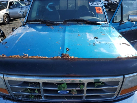 1995 Ford F-150 with VIN 1FTEX14H2SKA82635, listed as a Copart auction lot 77324504 with 0 mi miles and Clean Title. Bid and sale history available at carsss.com. Image 11.