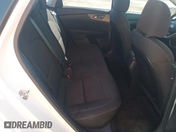 2019 Kia Forte LXS with VIN 3KPF24AD5KE041697, listed as a Copart auction lot 47033195 with 98,142 mi miles and Salvage Title. Bid and sale history available at DreamBid. Image 10.