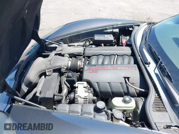 2009 Chevrolet Corvette with VIN 1G1YY36W995113625, listed as a IAAI auction lot 42577020 with 165,249 mi miles and . Bid and sale history available at DreamBid. Image 10.