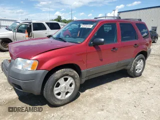 2004 Ford Escape XLT with VIN 1FMYU03114KB10993, listed as a Copart auction lot 62816725 with 192,860 mi miles and Non repairable. Bid and sale history available at DreamBid. Image 1.