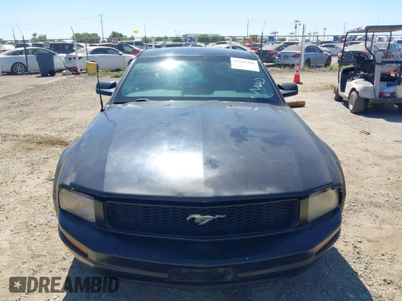 2005 Ford Mustang Deluxe with VIN 1ZVFT80N755187675, listed as a IAAI auction lot 42541269 with 192,474 mi miles and . Bid and sale history available at DreamBid. Image 6.