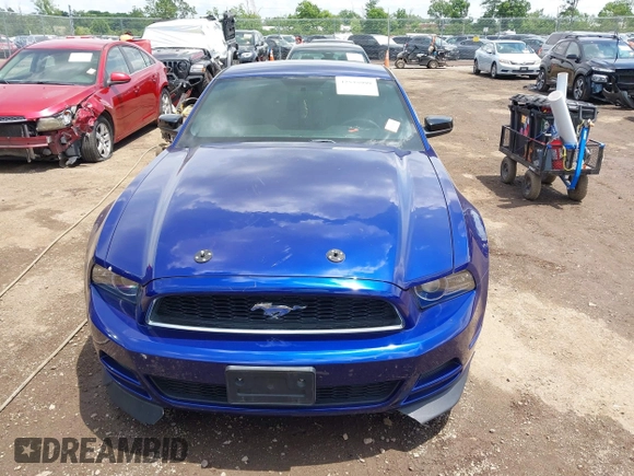 2013 Ford Mustang V6 with VIN 1ZVBP8AM8D5254453, listed as a IAAI auction lot 42535999 with 105,652 mi miles and . Bid and sale history available at DreamBid. Image 12.