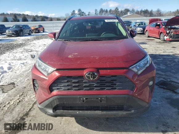 2019 Toyota RAV4 XLE Premium with VIN JTMA1RFV8KD036460, listed as a Copart auction lot 41913415 with 18,446 mi miles and Salvage Title. Bid and sale history available at carsss.com. Image 5.