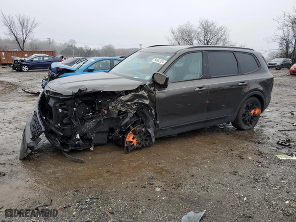 2022 Kia Telluride SX with VIN 5XYP5DHC3NG200426, listed as a Copart auction lot 84642024 with 50,825 mi miles and Salvage Title. Bid and sale history available at carsss.com. Image 1.