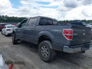 2013 Ford F-150 XL with VIN 1FTFW1ET6DKG16961, listed as a IAAI auction lot 42252221 with 187,924 mi miles and . Bid and sale history available at DreamBid. Image 3.