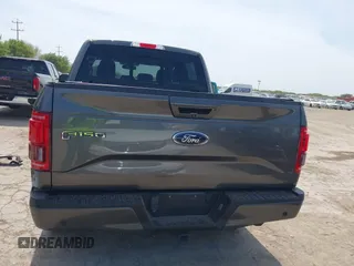 2016 Ford F-150 XLT with VIN 1FTEW1EG6GFD60350, listed as a IAAI auction lot 41843912 with 137,308 mi miles. Bid and sale history available at carsss.com. Image 17.