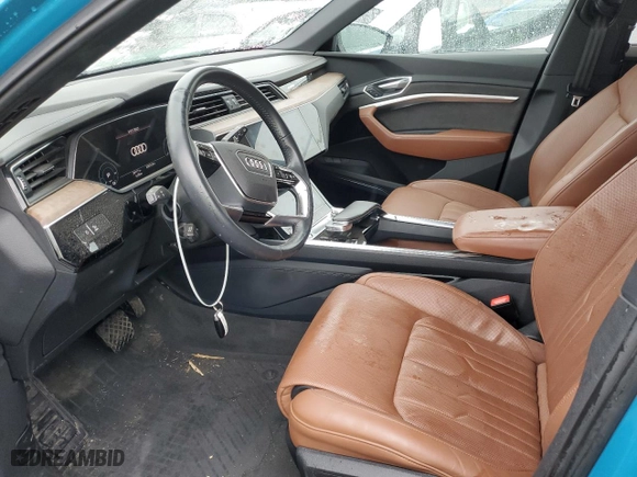 2019 Audi e-tron Prestige with VIN WA1VAAGE9KB014524, listed as a Copart auction lot 42891273 with 33,117 mi miles. Bid and sale history available at carsss.com. Image 7.