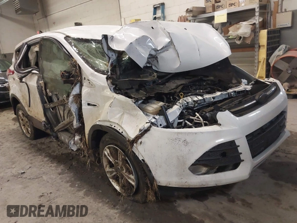 2013 Ford Escape SE with VIN 1FMCU9GX8DUC68815, listed as a IAAI auction lot 42028850 with 83,297 mi miles and . Bid and sale history available at DreamBid. Image 1.