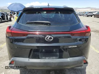 2020 Lexus UX 200 with VIN JTHX3JBH4L2029894, listed as a Copart auction lot 53101095 with 44,695 mi miles and Salvage title. Bid and sale history available at DreamBid. Image 6.