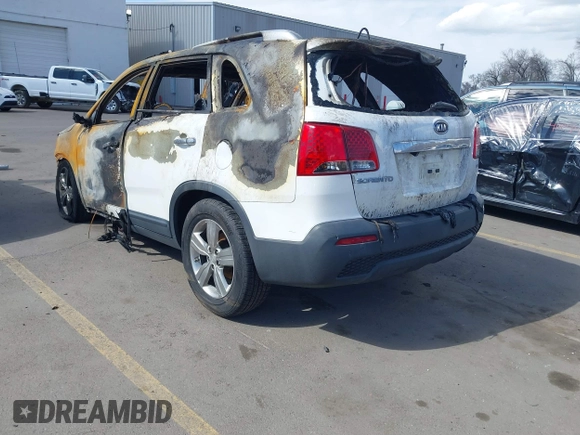 2013 Kia Sorento EX with VIN 5XYKU3A69DG318443, listed as a IAAI auction lot 41804384 with Not Provided miles. Bid and sale history available at carsss.com. Image 3.