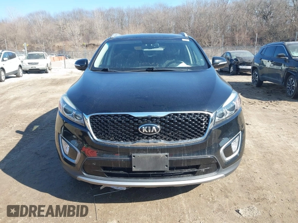 2017 Kia Sorento EX with VIN 5XYPHDA51HG294958, listed as a IAAI auction lot 41791927 with 131,555 mi miles and . Bid and sale history available at DreamBid. Image 12.