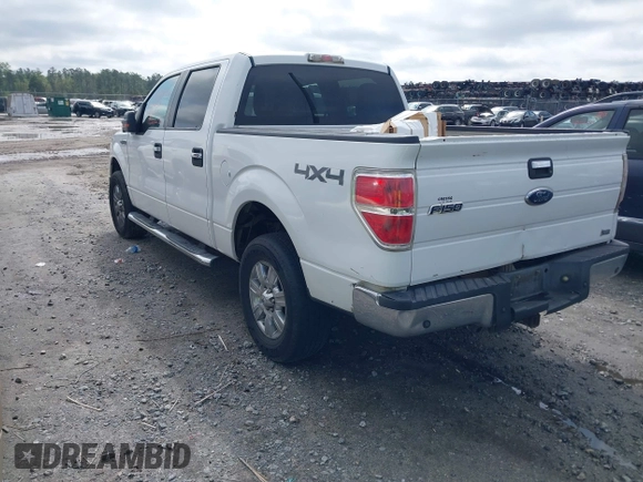 2010 Ford F-150 XL with VIN 1FTFW1EV5AFC03029, listed as a IAAI auction lot 41928629 with 256,111 mi miles. Bid and sale history available at carsss.com. Image 3.