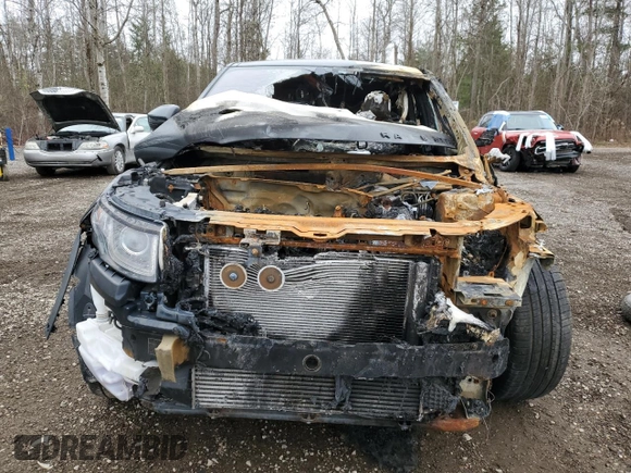 2017 Land Rover Range Rover Evoque HSE Dynamic with VIN SALVD2BG3HH216270, listed as a Copart auction lot 81019324 with 0 mi miles and Non Repairable. Bid and sale history available at carsss.com. Image 5.