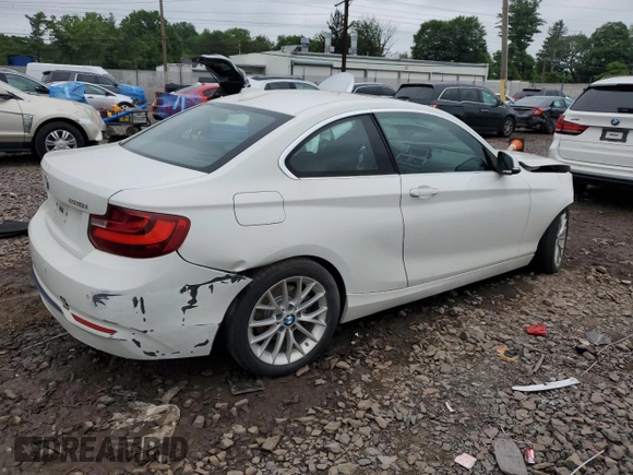 2016 BMW 2 Series 228i xDrive with VIN WBA1G9C53GV599188, listed as a Copart auction lot 59300385 with Not provided miles and Salvage title. Bid and sale history available at DreamBid. Image 3.