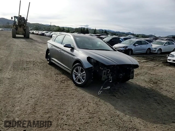 2019 Hyundai Sonata SEL with VIN 5NPE34AFXKH787519, listed as a Copart auction lot 46860055 with 43,511 mi miles and Salvage Title. Bid and sale history available at DreamBid. Image 10.