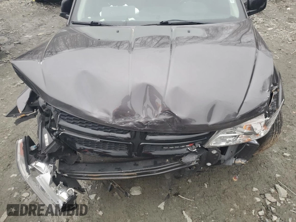 2019 Dodge Journey SE with VIN 3C4PDCBB5KT694449, listed as a Copart auction lot 44247545 with Not Provided miles and Salvage Title. Bid and sale history available at DreamBid. Image 13.