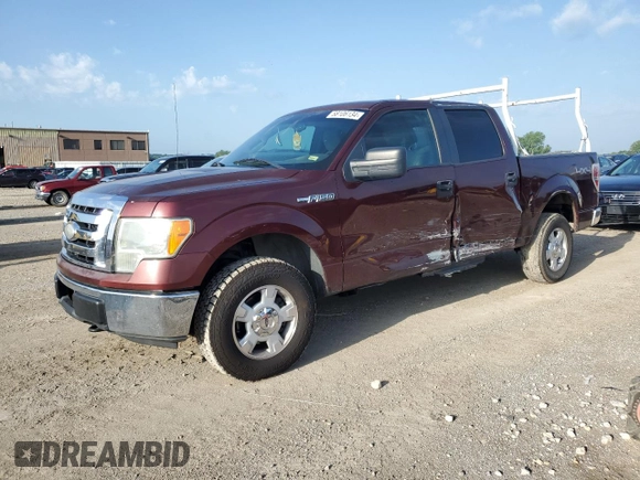 2009 Ford F-150 XL with VIN 1FTRW14889KC37087, listed as a Copart auction lot 58106134 with 225,464 mi miles and Salvage Title. Bid and sale history available at DreamBid. Image 1.